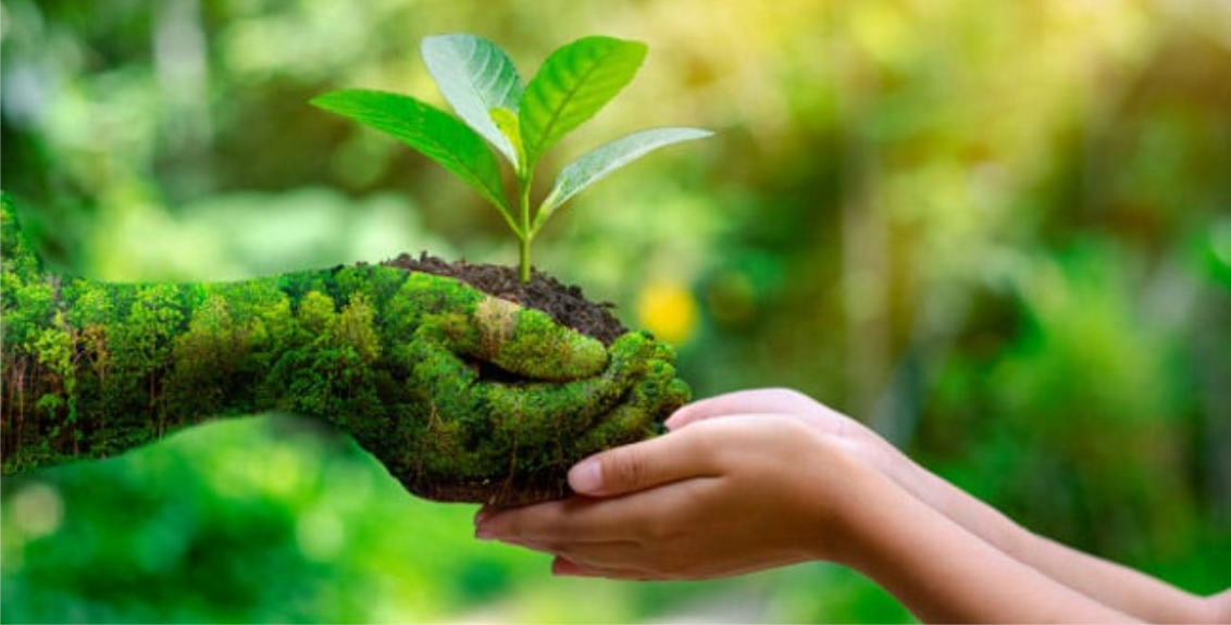 Sustentabilidade em ação